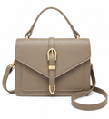Taupe Elegance Top Handle Crossbody With Gold Hardware