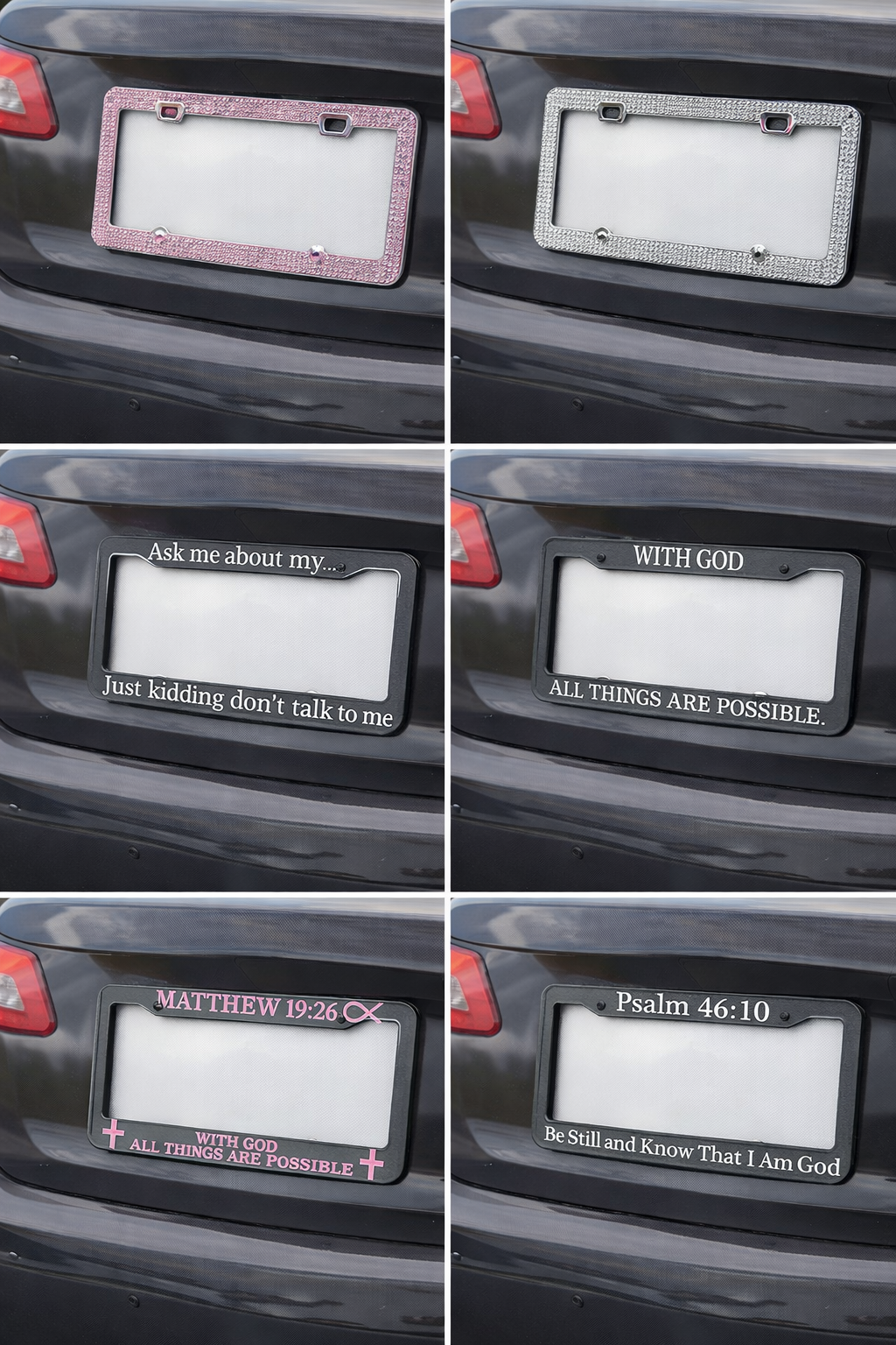 Jesus The Way License Plate Frame